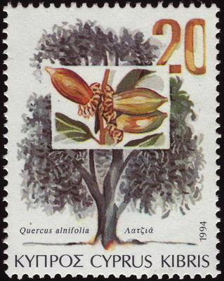 Briefmarke: Erlenblättrige Eiche, Zypern, 1994