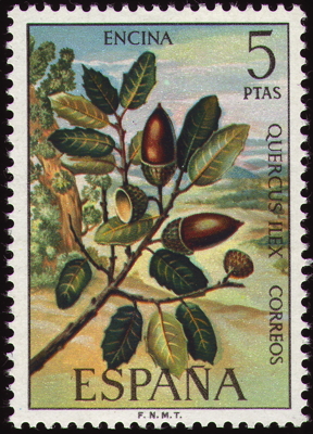 Briefmarke: Stein-Eiche, Spanien, 1972