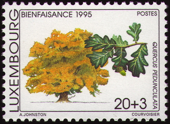 Stiel-Eiche auf Briefmarke, Luxembourg, 1995 