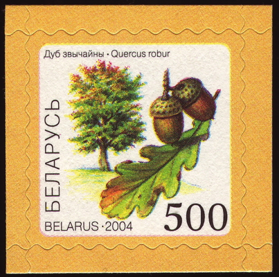 Stiel-Eiche auf Briefmarke, Weißrussland, 2004