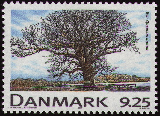 Stiel-Eiche auf Briefmarke, Dänemark, 1999