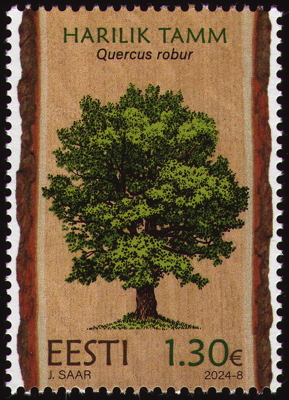 Stiel-Eiche auf Briefmarke, Estland, 2024 
