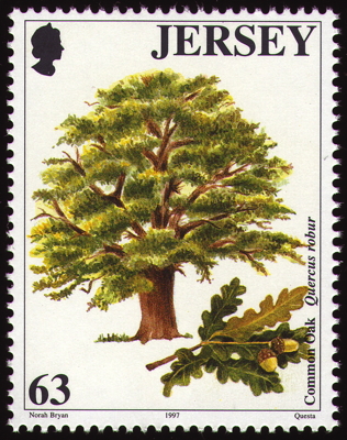 Stiel-Eiche auf Briefmarke, Jersey, 1997