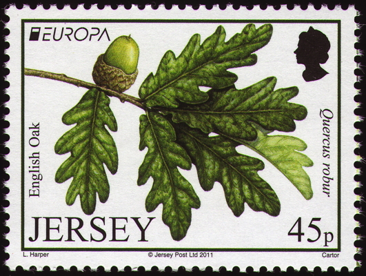 Stiel-Eiche auf Briefmarke, Jersey, 2011