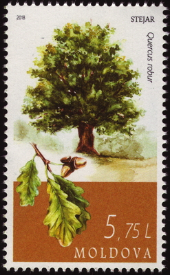 Stiel-Eiche auf Briefmarke, Moldawien, 2018 