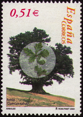 Stiel-Eiche auf Briefmarke, Spanien, 2003