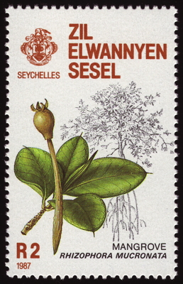 Briefmarke: Rote Mangrove, Äußere Seychellen, 1987 