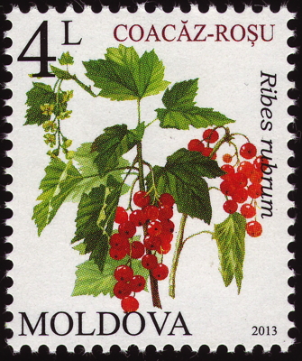 Briefmarke: Johannisbeere, Moldawien, 2013