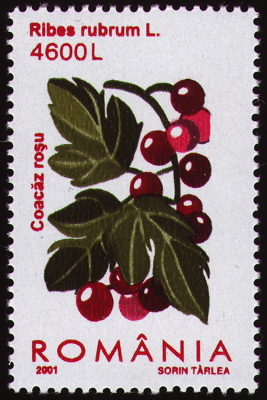 Briefmarke: Johannisbeere, Rumänien, 2001