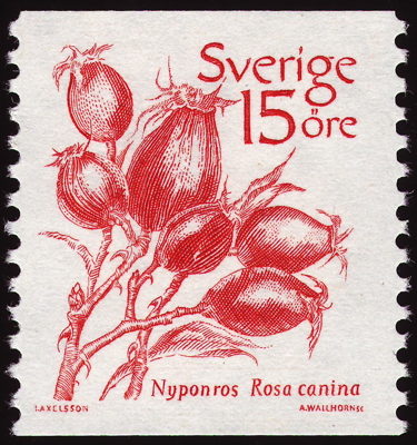 Briefmarke: Hunds-Rose, Schweden, 1983