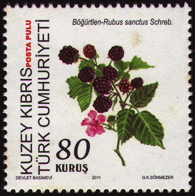 Briefmarke: Heilige brombeere, Türkei (Nord-Zypern), 2011