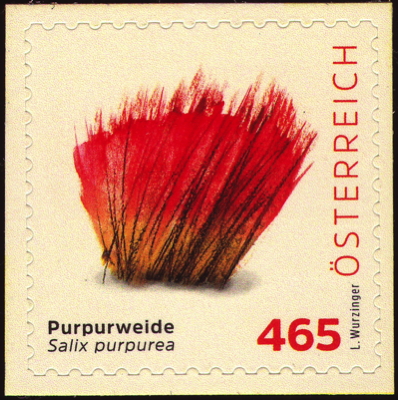 Briefmarke: Purpur-Weide, Österreich, 2025