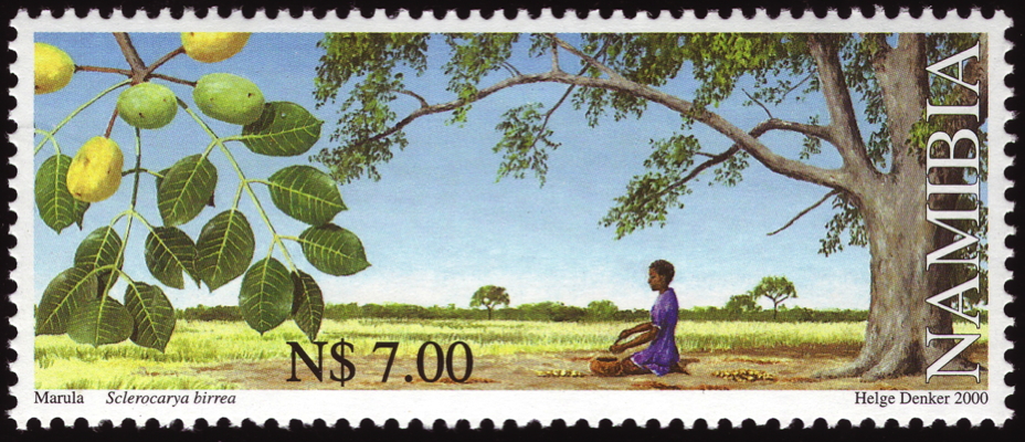 Briefmarke: Marula-Baum, Namibia, 2000
