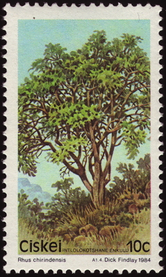 Briefmarke: Roter Johannisbeer-Rhus, Südafrika, Ciskei, 1984