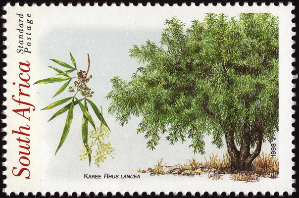 Briefmarke: Kareebaum, Südafrika, 1998