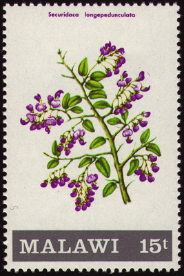 Briefmarke: Wilder Veilchenbaum, Malawi, 1971