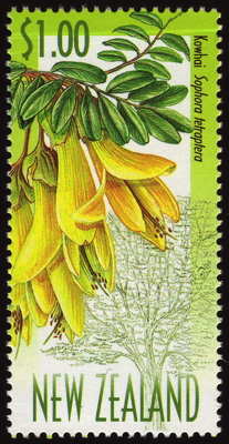 Briefmarke: Nördlicher Schnurbaum, Neuseeland, 1999