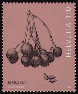 Echte Mehlbeere auf Briefmarke, Schweiz, 2023