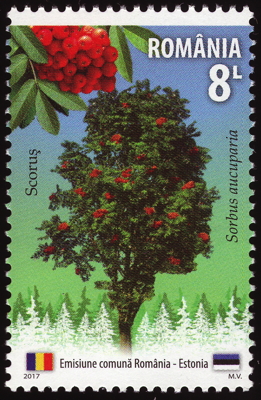 Eberesche auf Briefmarke, Rumänien, 2017