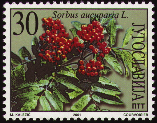 Briefmarke: Eberesche, Jugoslawien, 2001