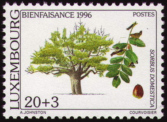Speierling auf Briefmarke, Luxembourg, 1996