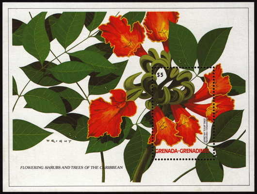 Briefmarke: Afrikanischer Tulpenbaum, Grenada, 1988
