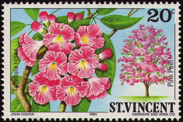 Briefmarke: Rosa-Paui, Saint Vincent, 1984