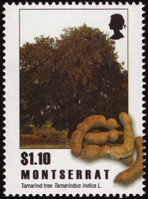 Briefmarke: Tamarindenbaum, Montserrat, 2009