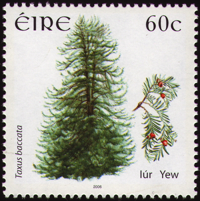 Europäische Eibe auf Briefmarke, Irland, 2006