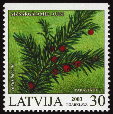 Europäische Eibe auf Briefmarke, Lettland, 2003 