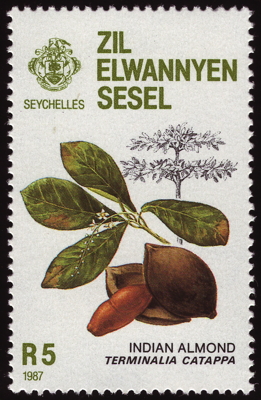 Briefmarke: Katappenbaum, Äußere Seychellen, 1987