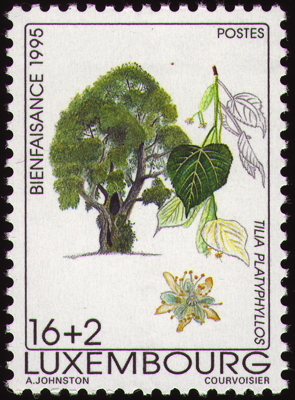 Sommer-Linde auf Briefmarke, Luxembourg, 1995