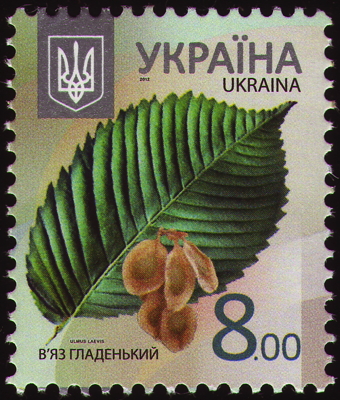 Briefmarke: Flatter-Ulme, Ukraine, 2012