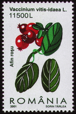 Briefmarke: Preiselbeere, Rumänien, 2001