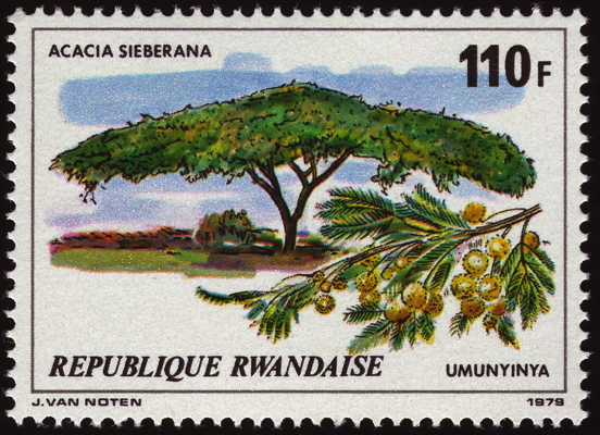 Briefmarke: Paperbark Thorn, Ruanda, 1979