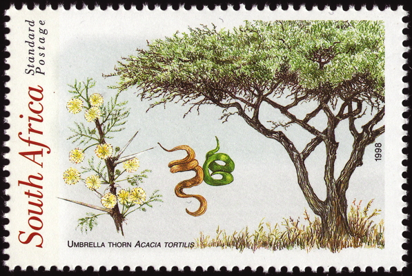 Briefmarke: Savannen-Akazie, Schirm-Akazie, Südafrika, 1998