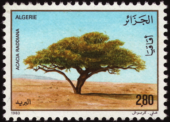 Briefmarke: Savannen-Akazie, Schirm-Akazie, Algerien, 1983