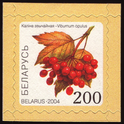Gewöhnlicher Schneeball auf Briefmarke, Weißrussland, 2004